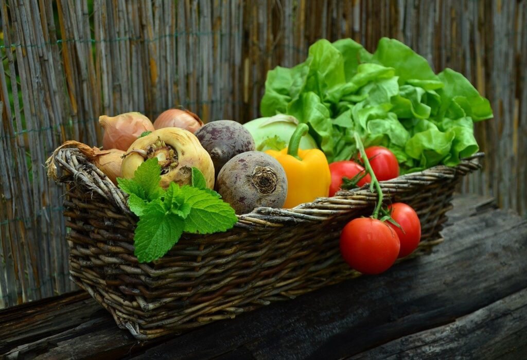 Quais as Diferenças entre Frutas, Verduras e Legumes?